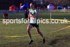 Senior mens 2025 Northern Cross Country Champs, Tatton Park, Knutsford, Cheshire. Photo: David T. Hewitson/Sports for All Pics